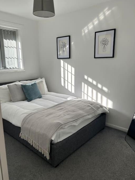 Charming Home, Walking Distance To Bay And Centre With Parking Appartement Cardiff